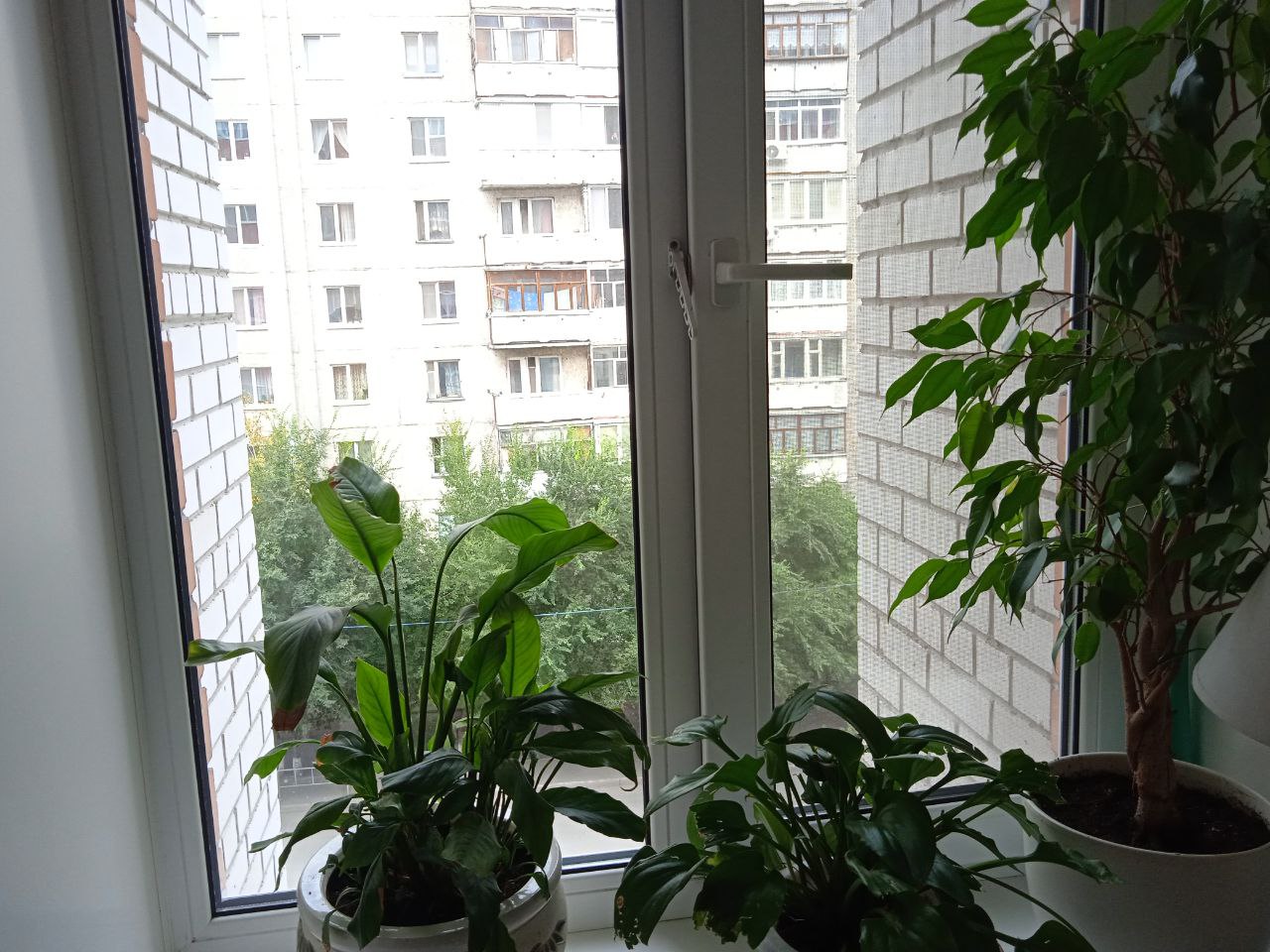 https://zhukovskij.delaem-okna.ru/storage/app/uploads/public/63f/332/8c0/63f3328c0d6f7867060515.jpg